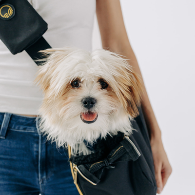 Tushpuppy 2-in-1 Pet Sling Carrier